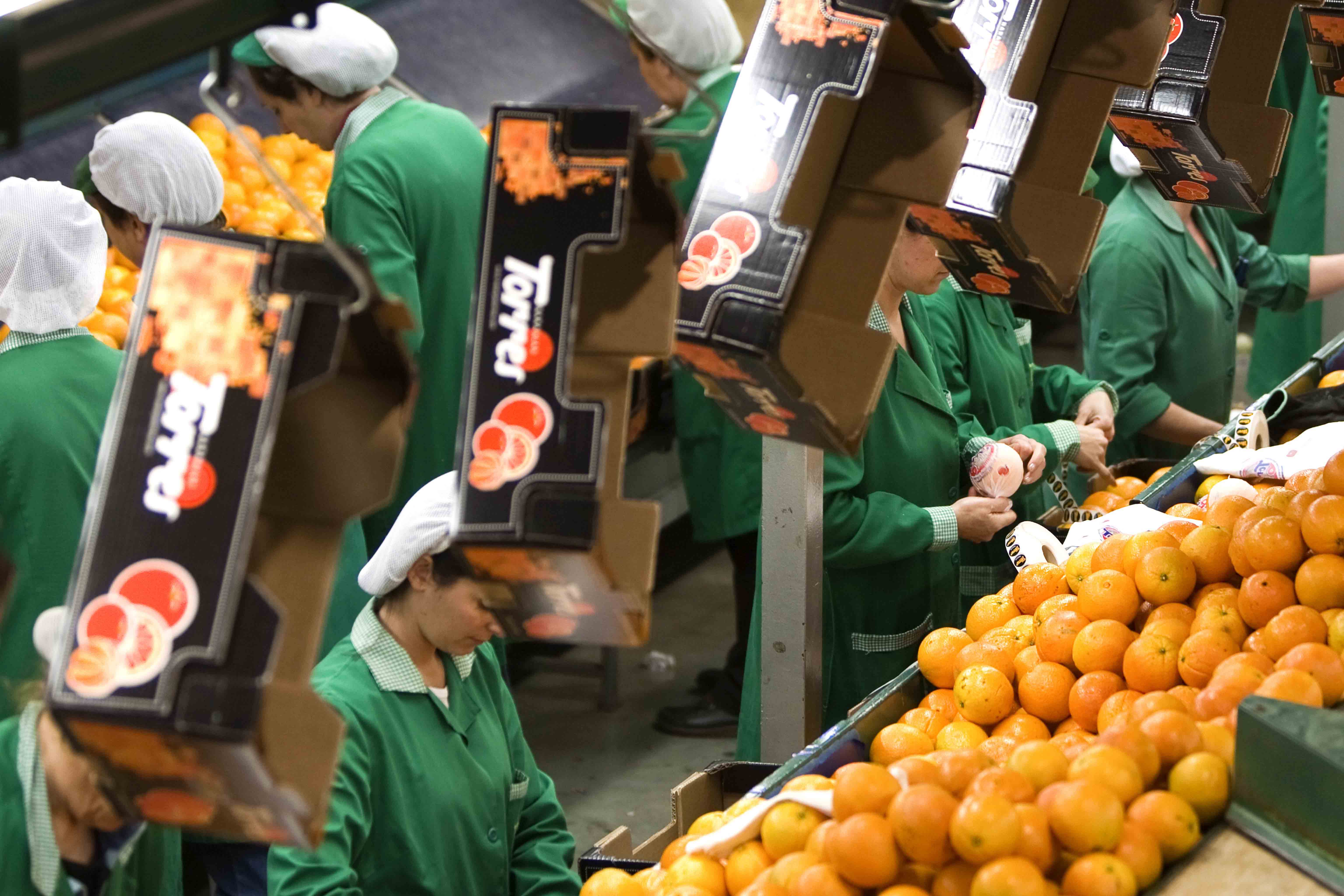 Naranjas Torres implica a sus empleados en su política de RSE con la fruta como eje
