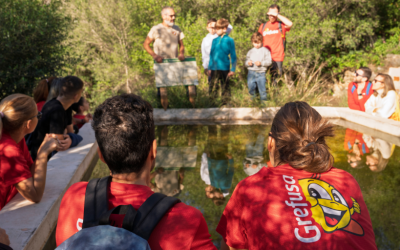 El Grefubosque, el proyecto con impacto ambiental de Grefusa