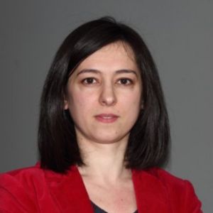 Elena Castro del Río